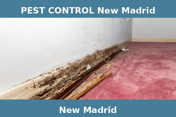 PEST CONTROL New Madrid